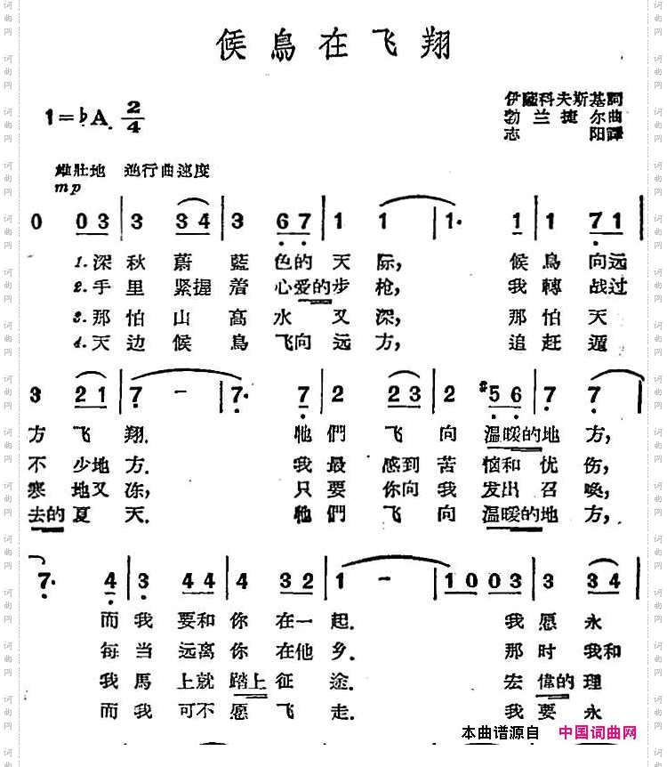 [前苏联]候鸟在飞翔
