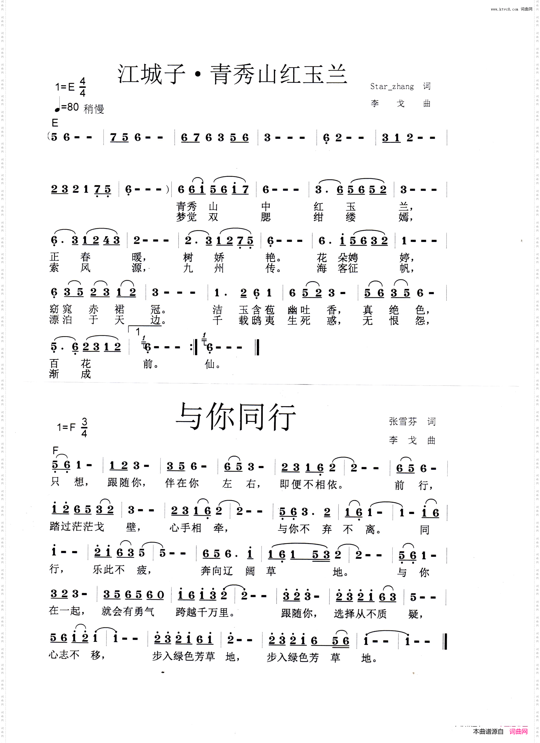 青秀山红玉兰、与你同行