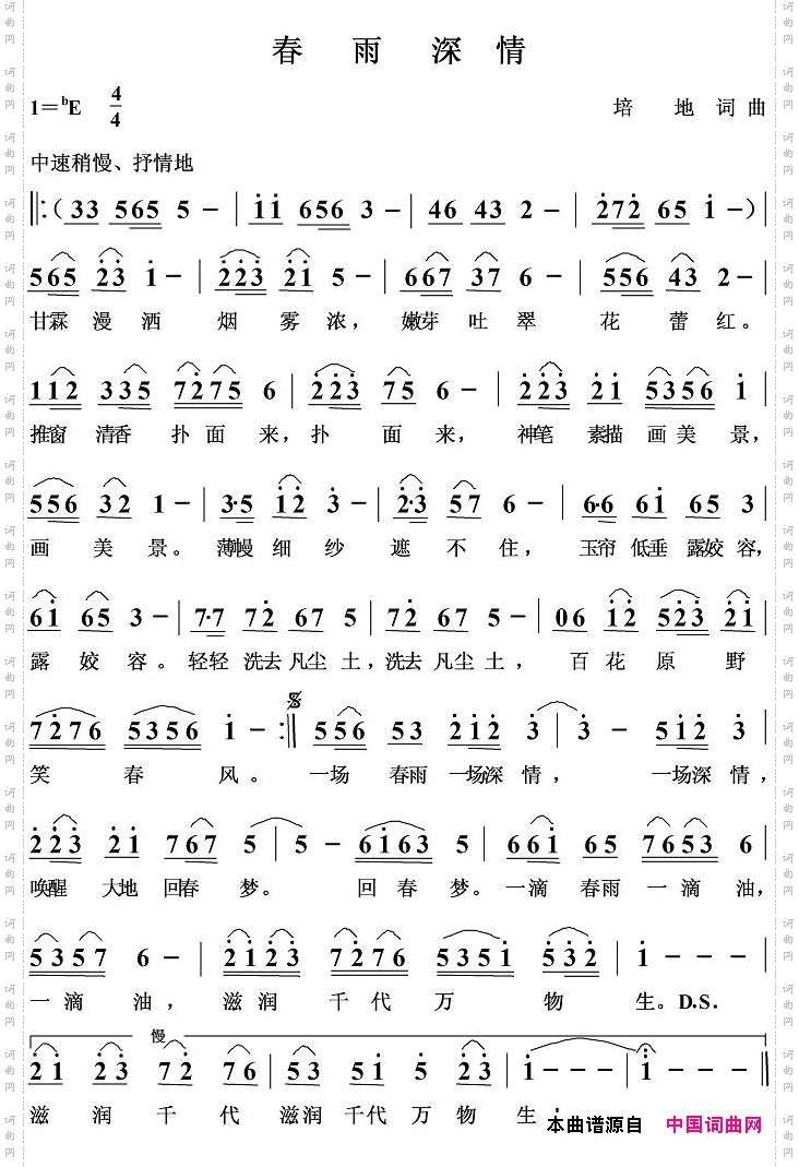春雨深情