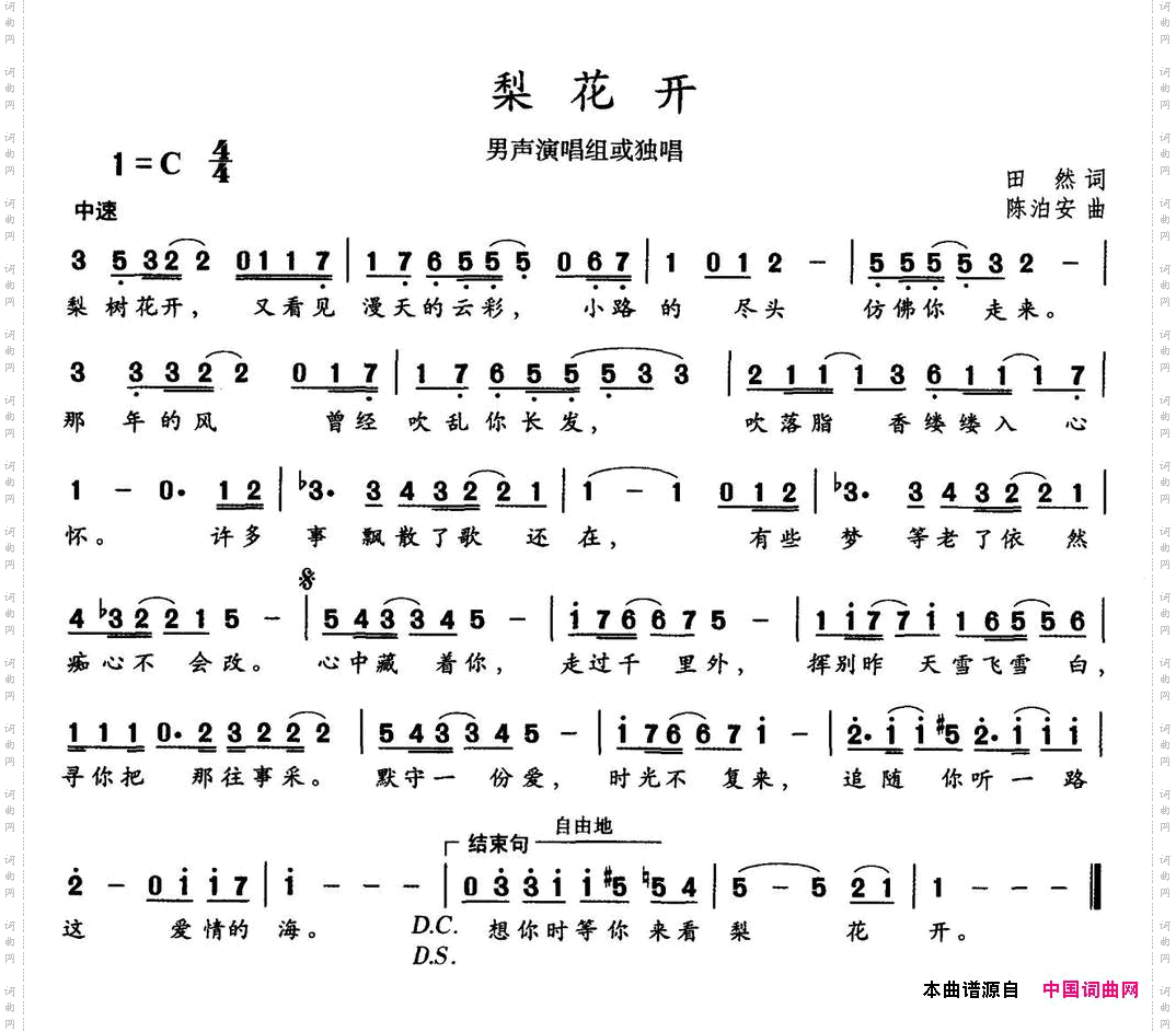 梨花开