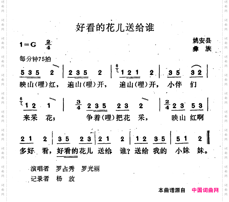 好看的花儿送给谁
