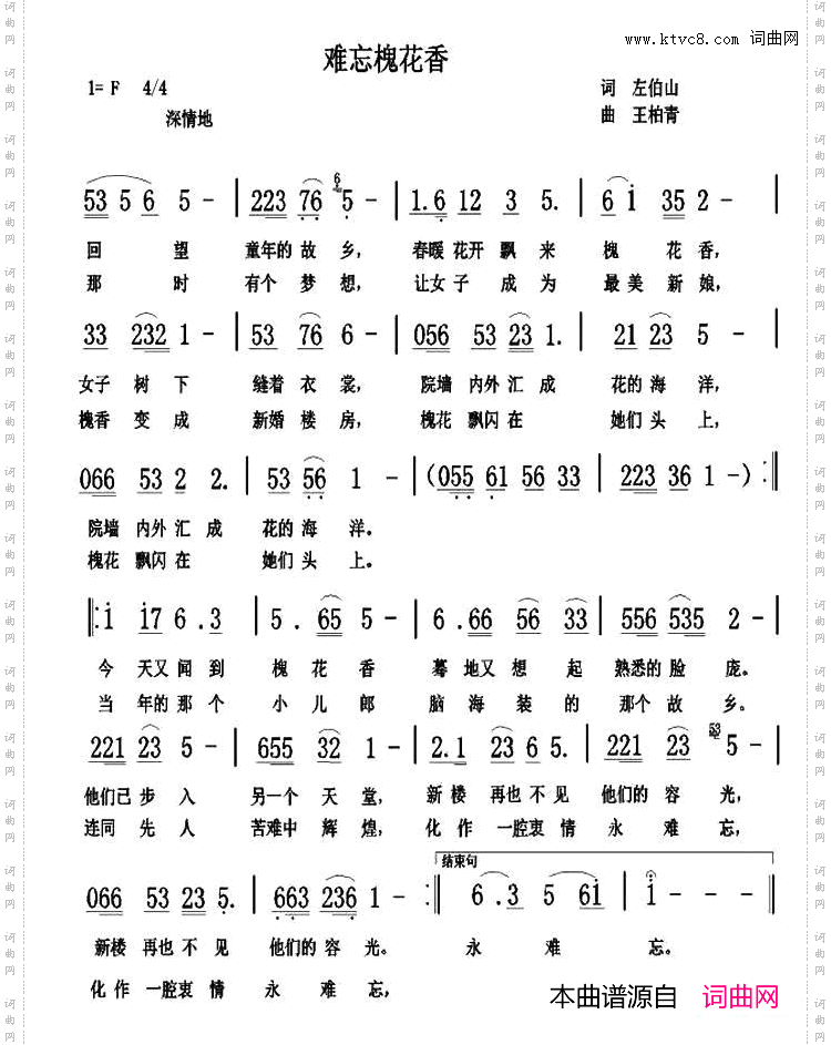 难忘槐花香