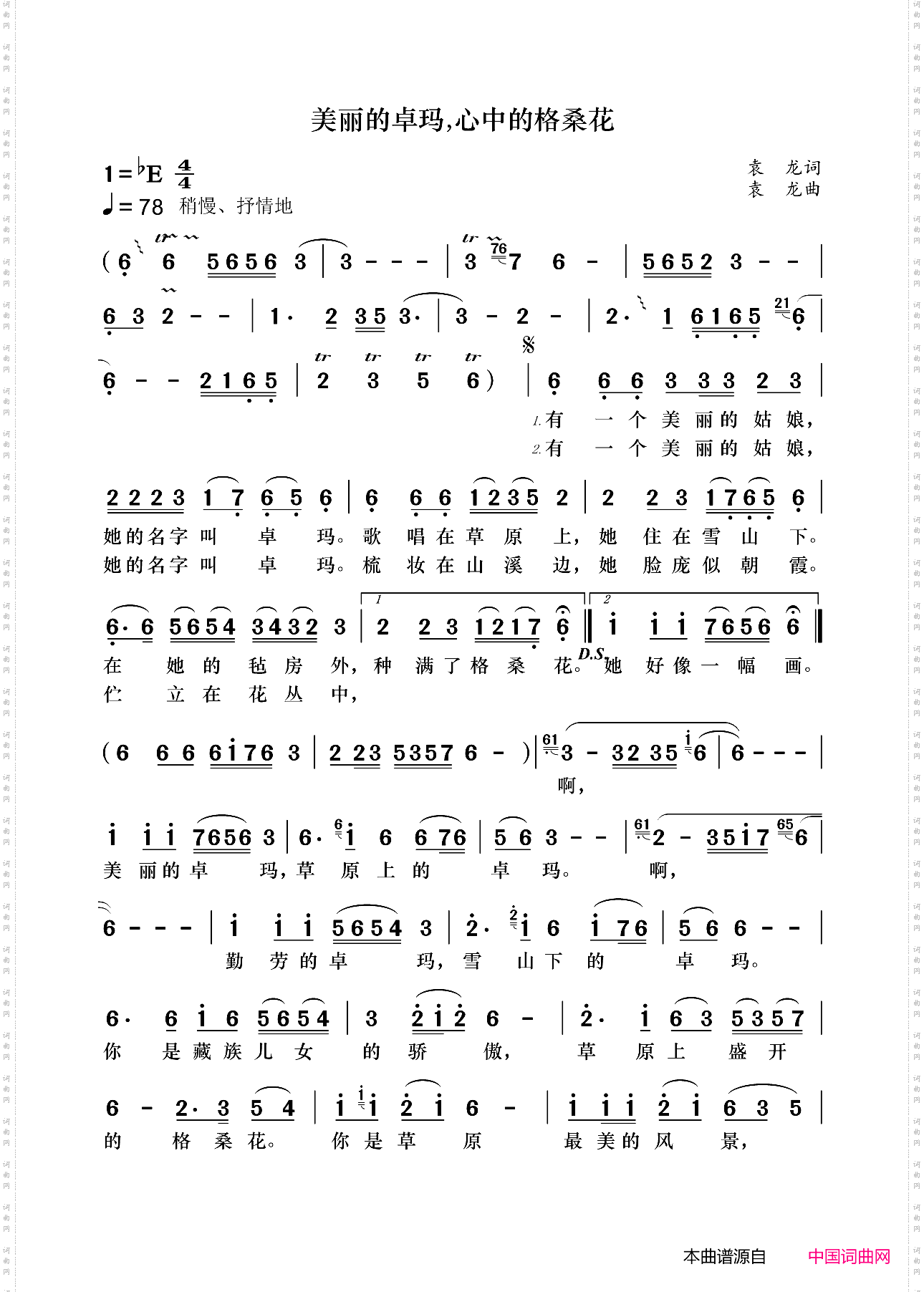 美丽的卓玛,心中的格桑花