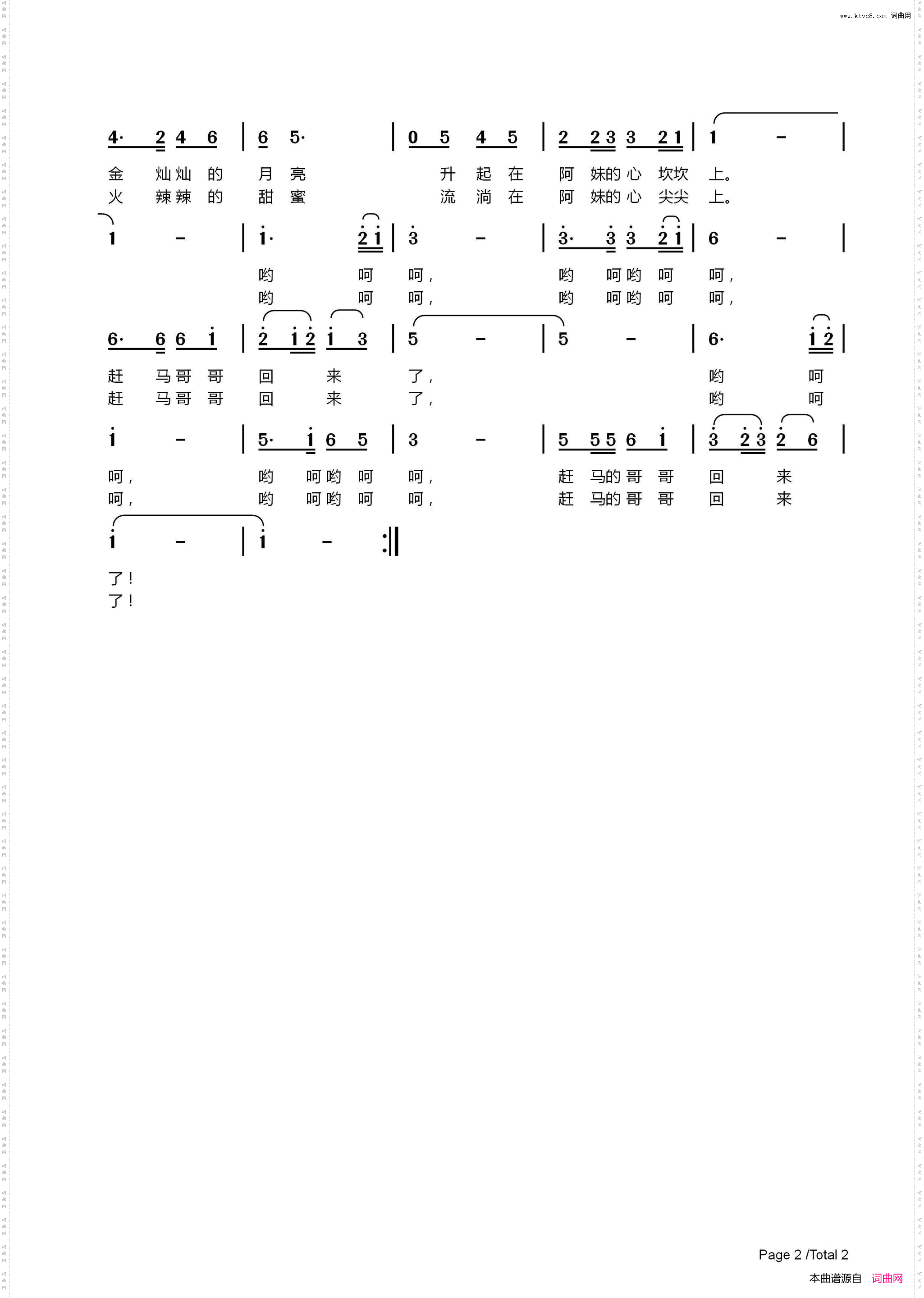 赶马哥哥回来了