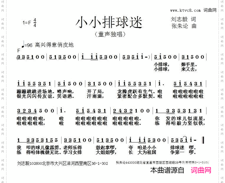 小小排球迷
