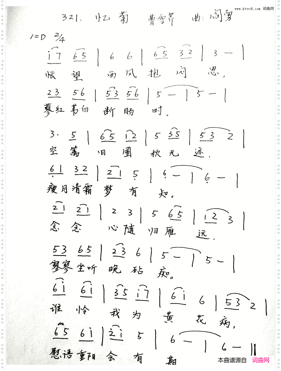 忆菊红楼菊系列