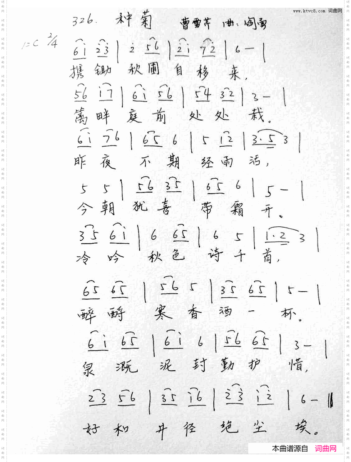 种菊红楼菊系列