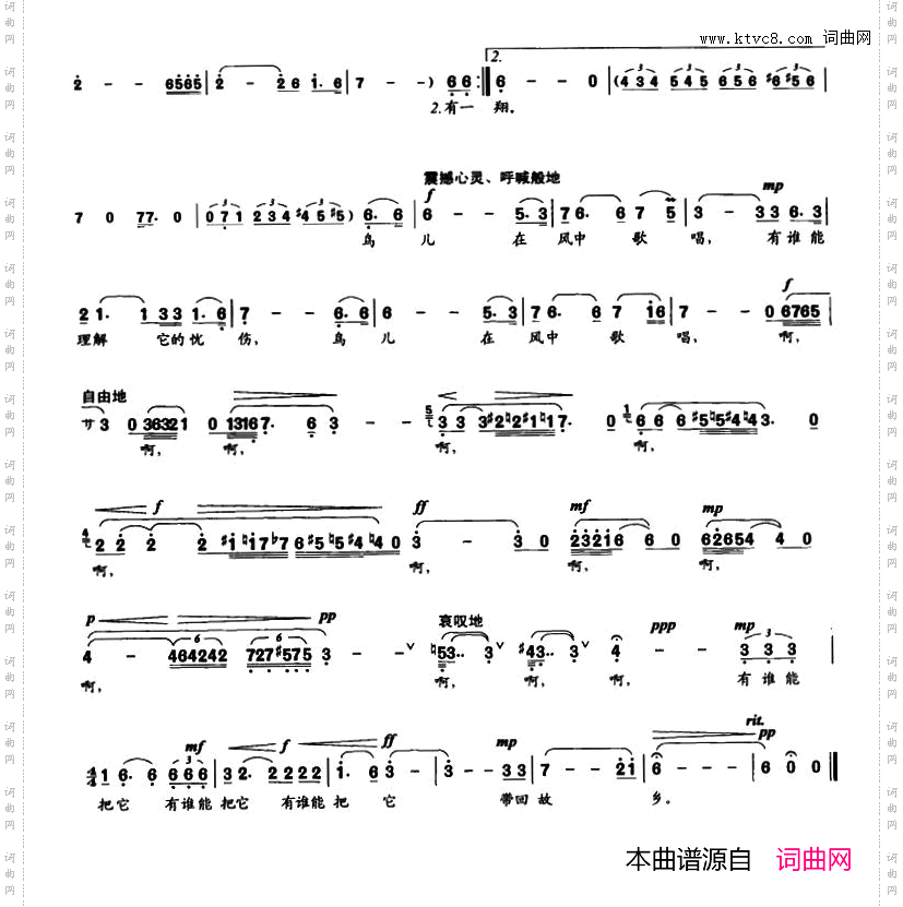 鸟儿在风中歌唱