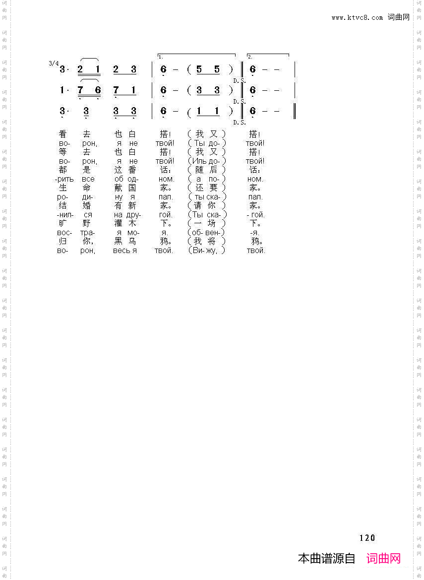 黑乌鸦ЧЕРНЫЙВОРОН