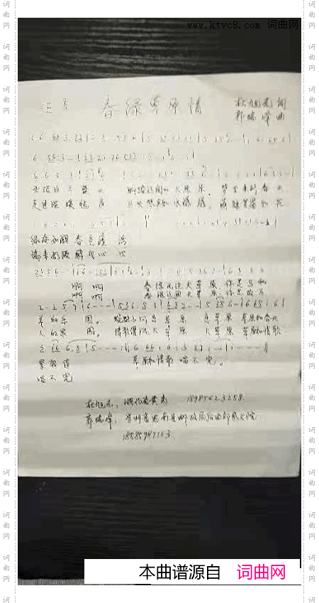 春绿草原情