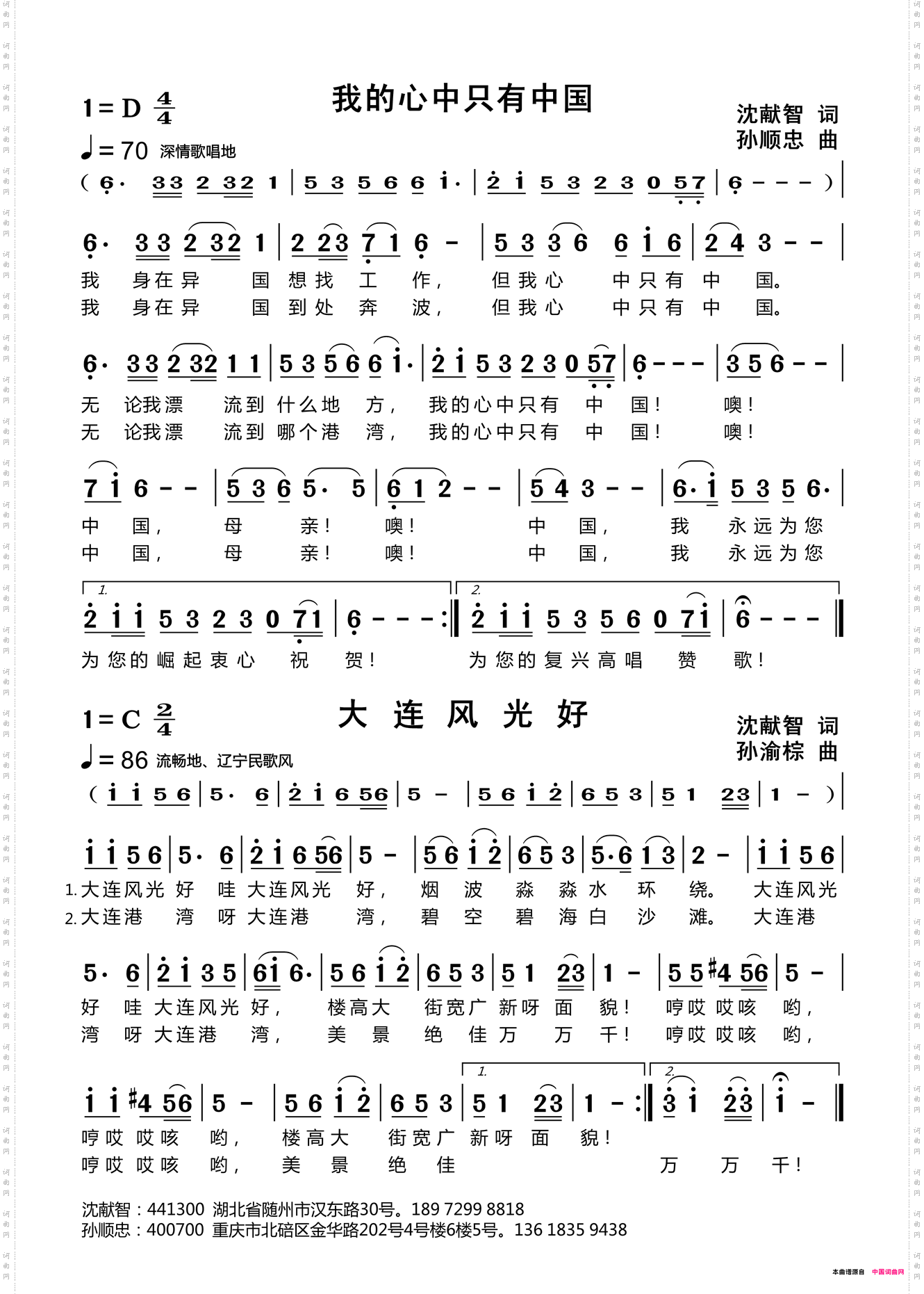 我的心中只有中国