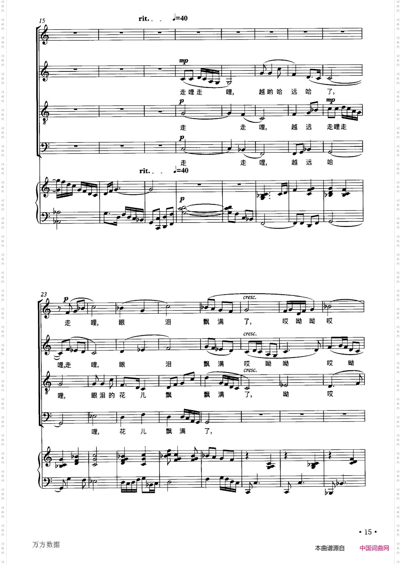 眼泪花儿把心淹了_正谱