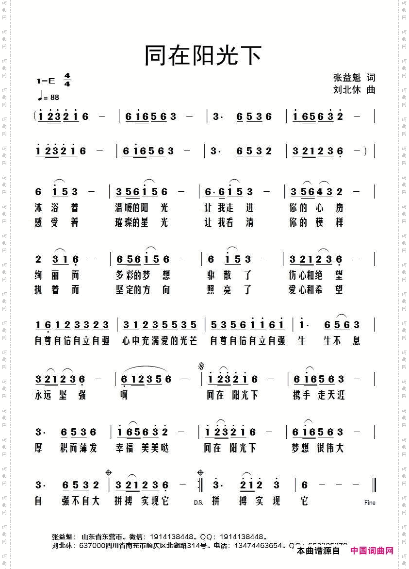 同在阳光下