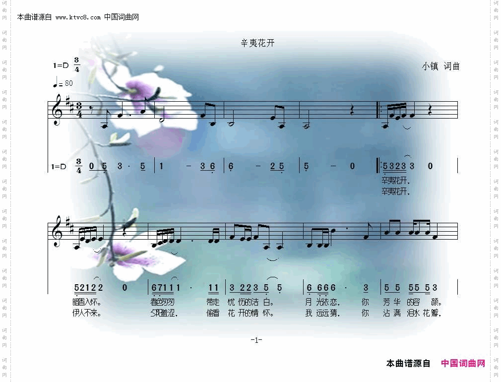 辛夷花开