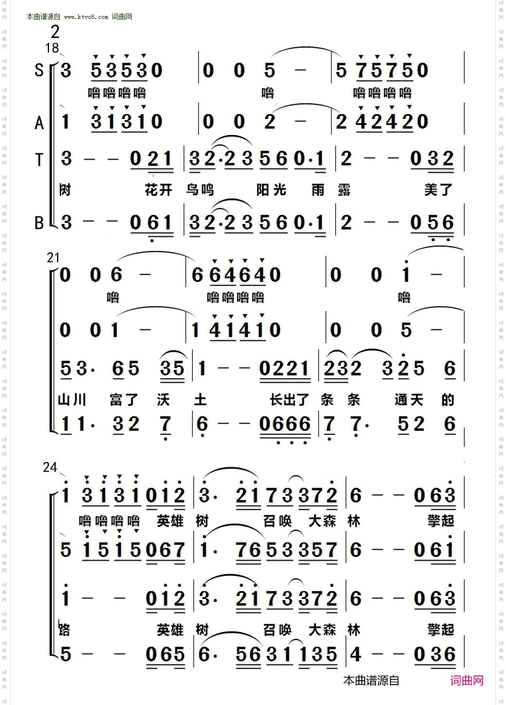 大森林记得一棵树