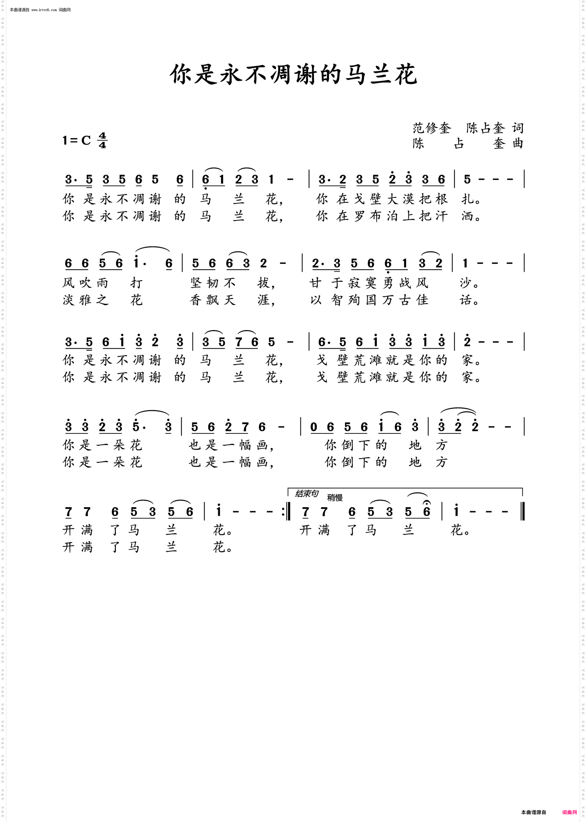 你是永不凋谢的马兰花