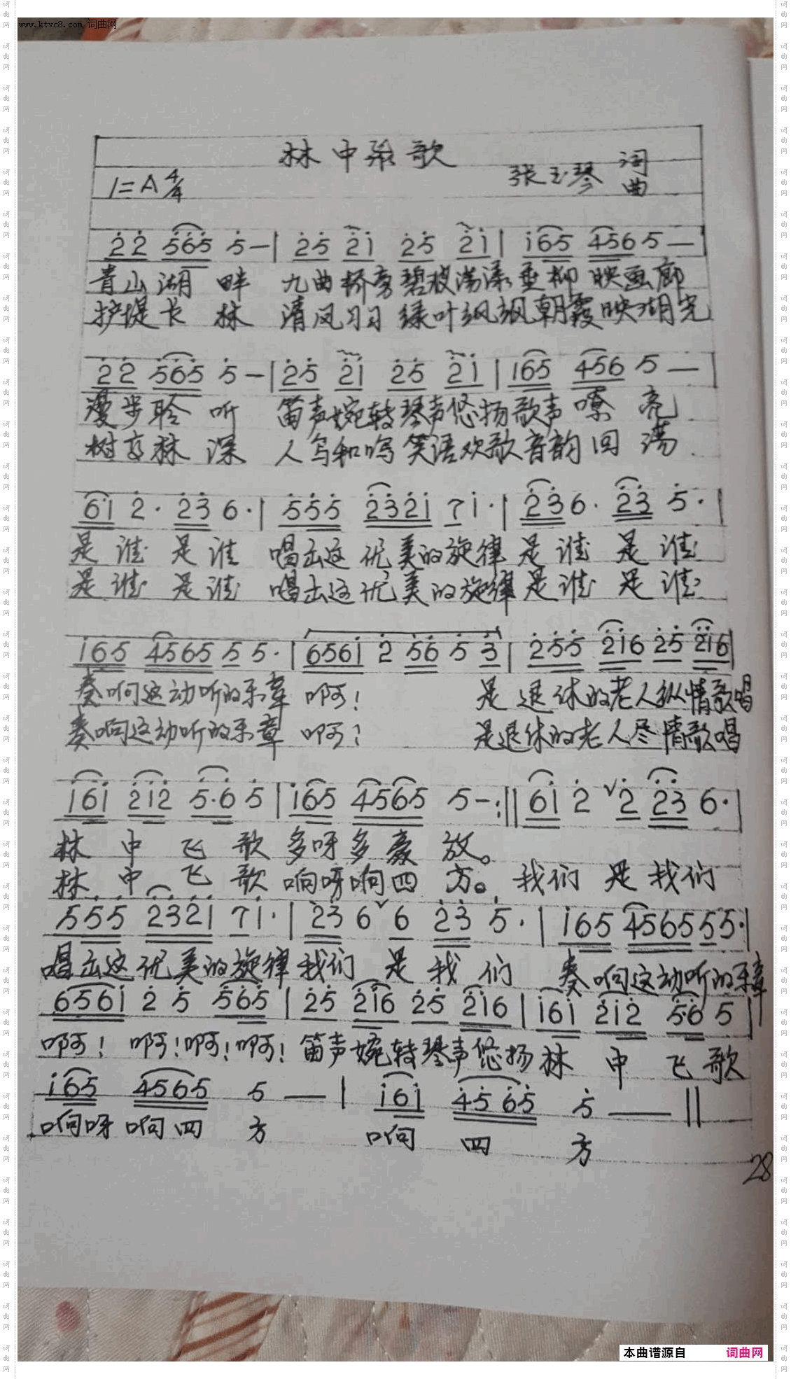 林中飞歌