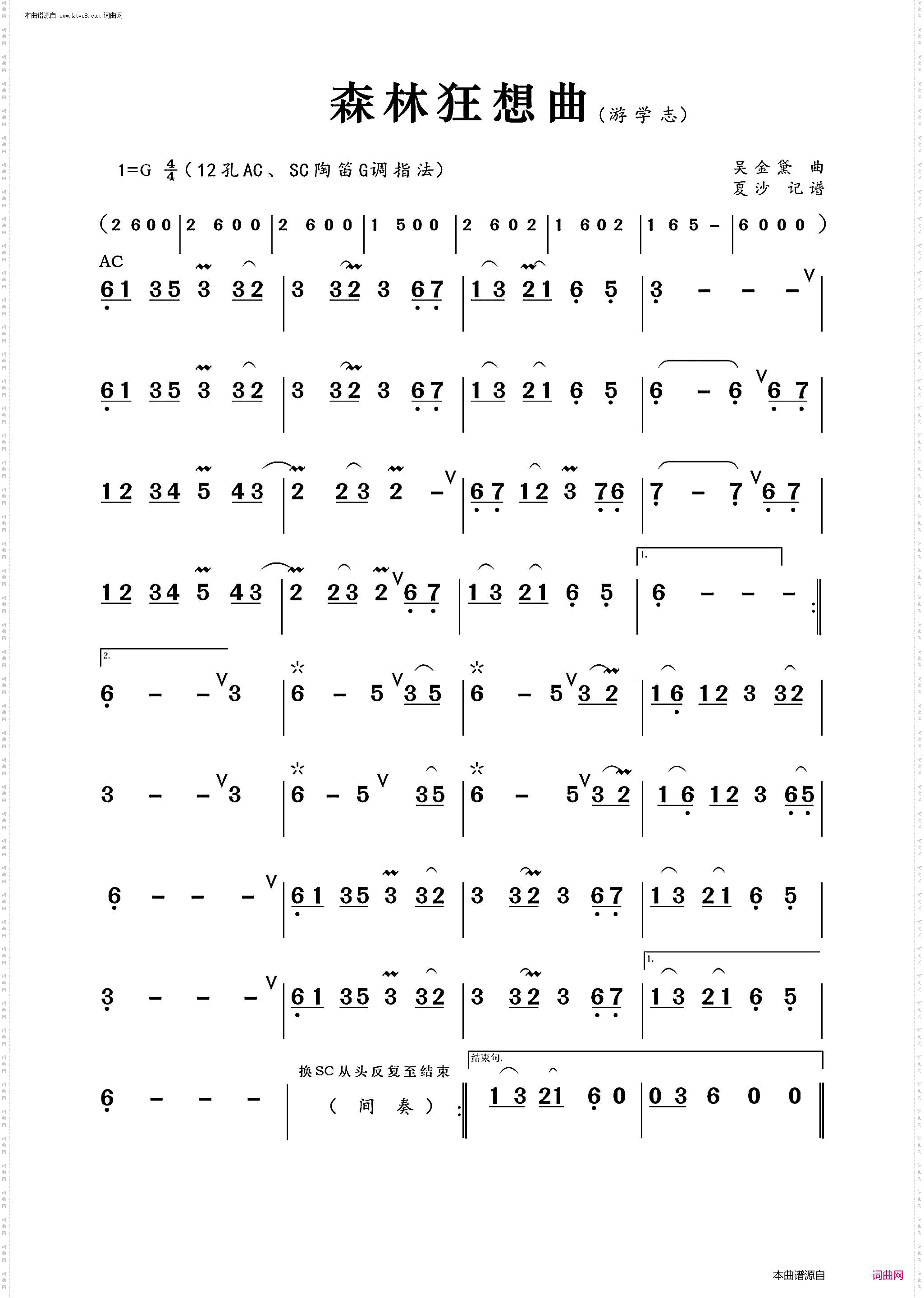 森林狂想曲