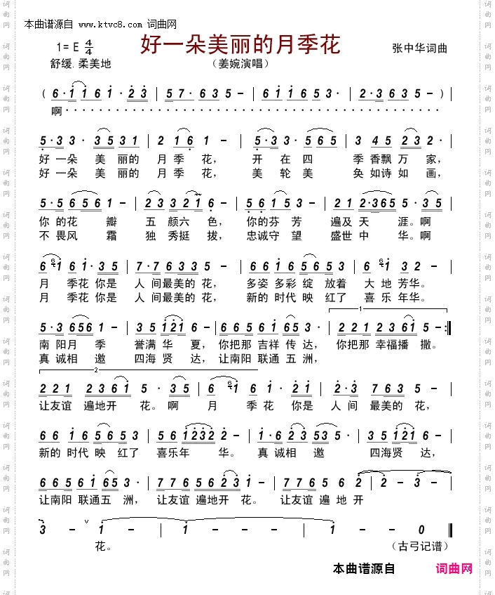 好一朵美丽的月季花