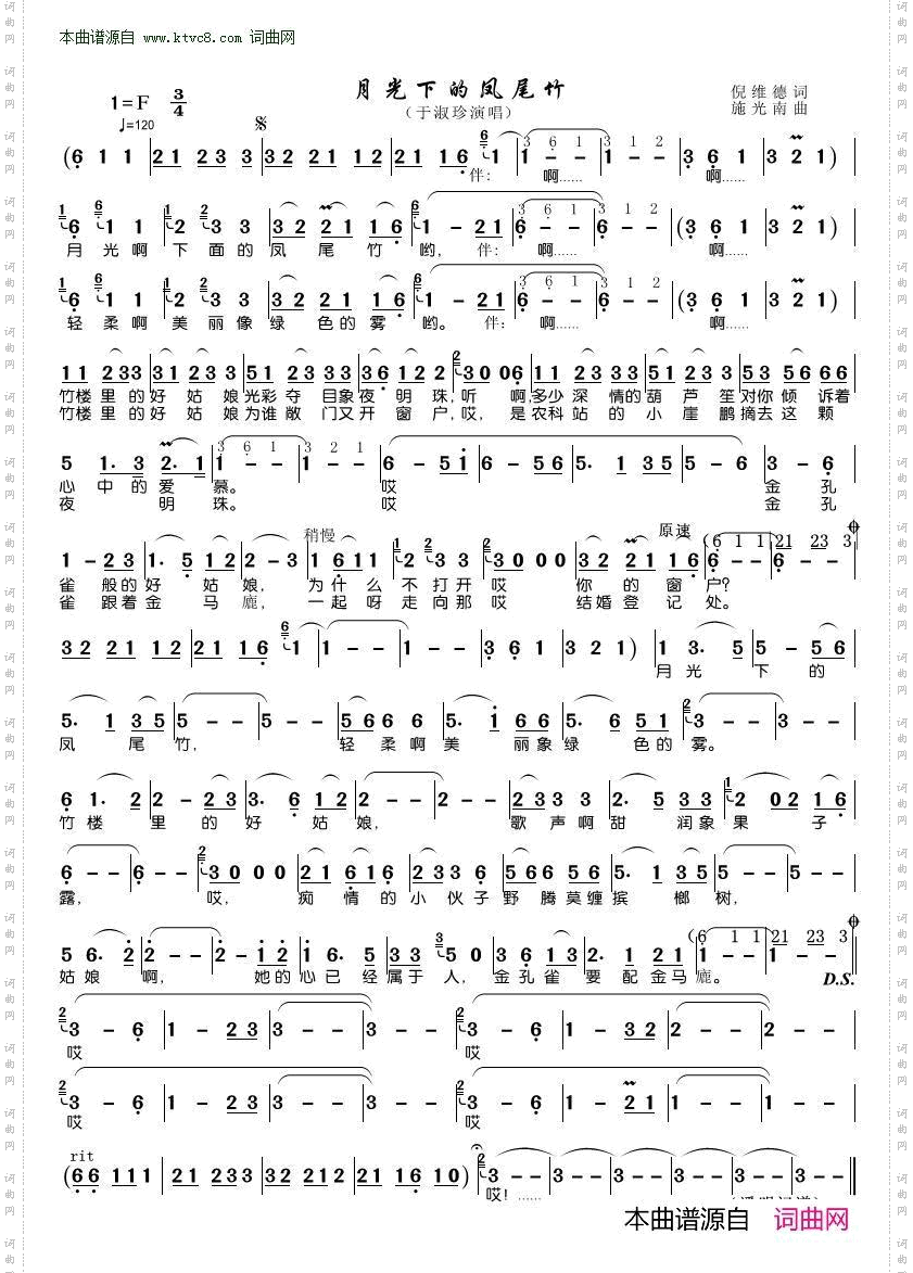 月光下的凤尾竹