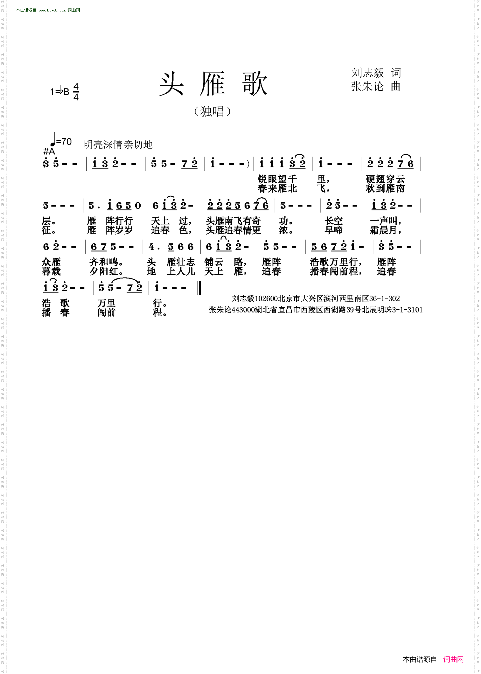 头雁歌