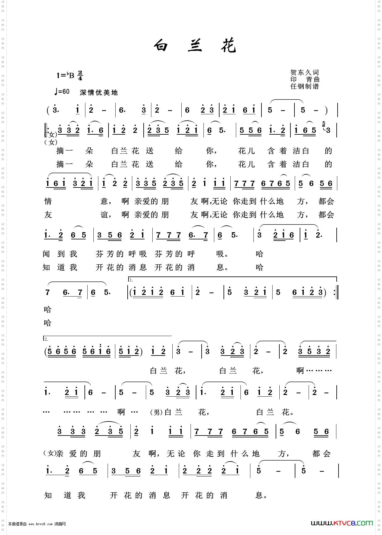 白兰花_军旅歌曲100首