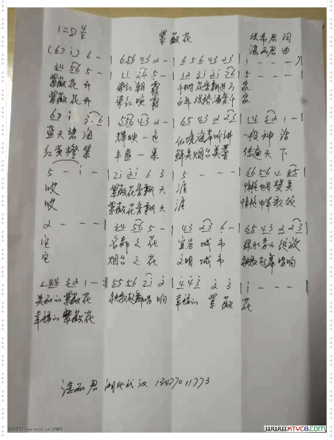 紫薇花_仙境海岸，鲜美烟台