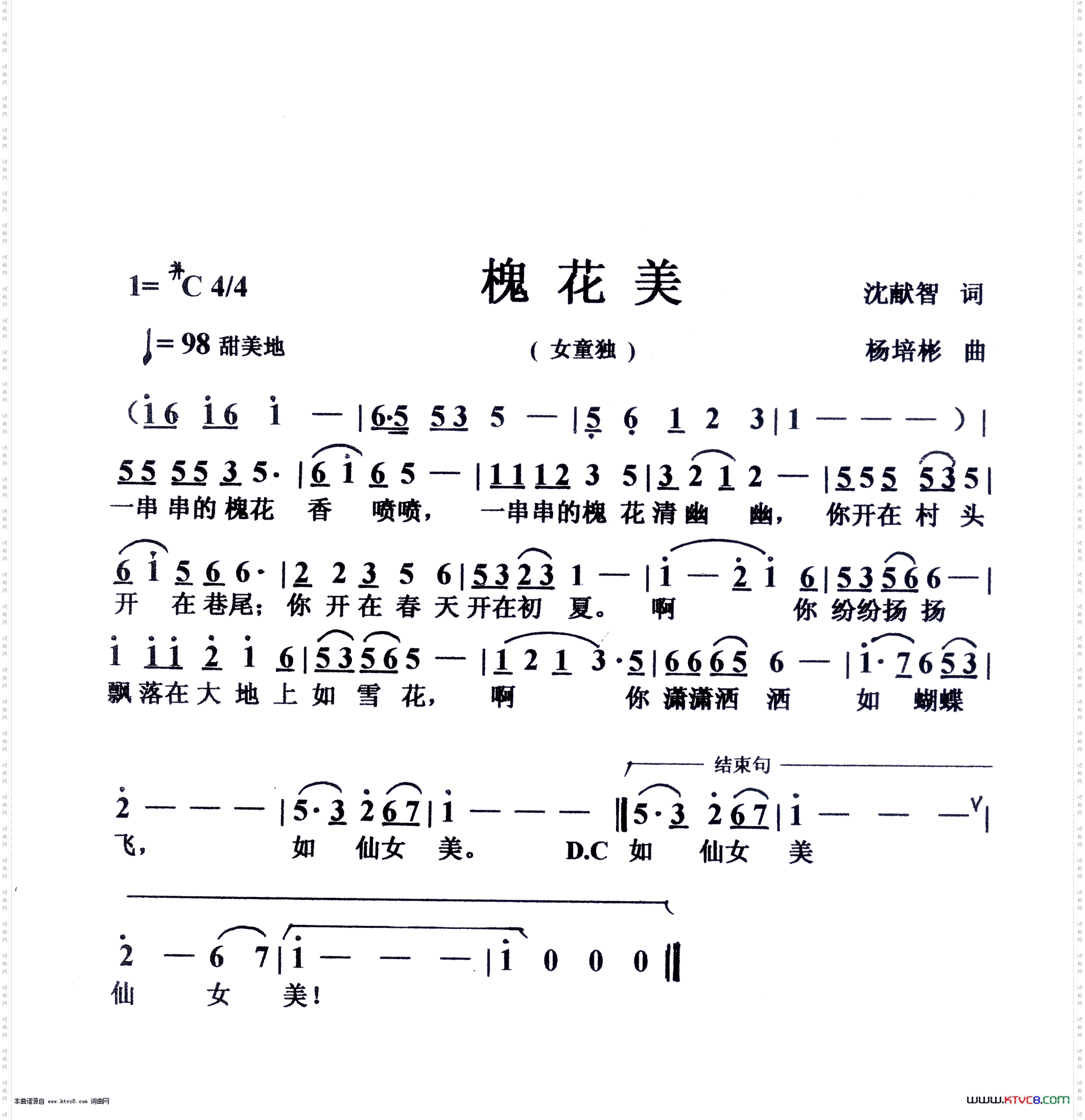 槐花美