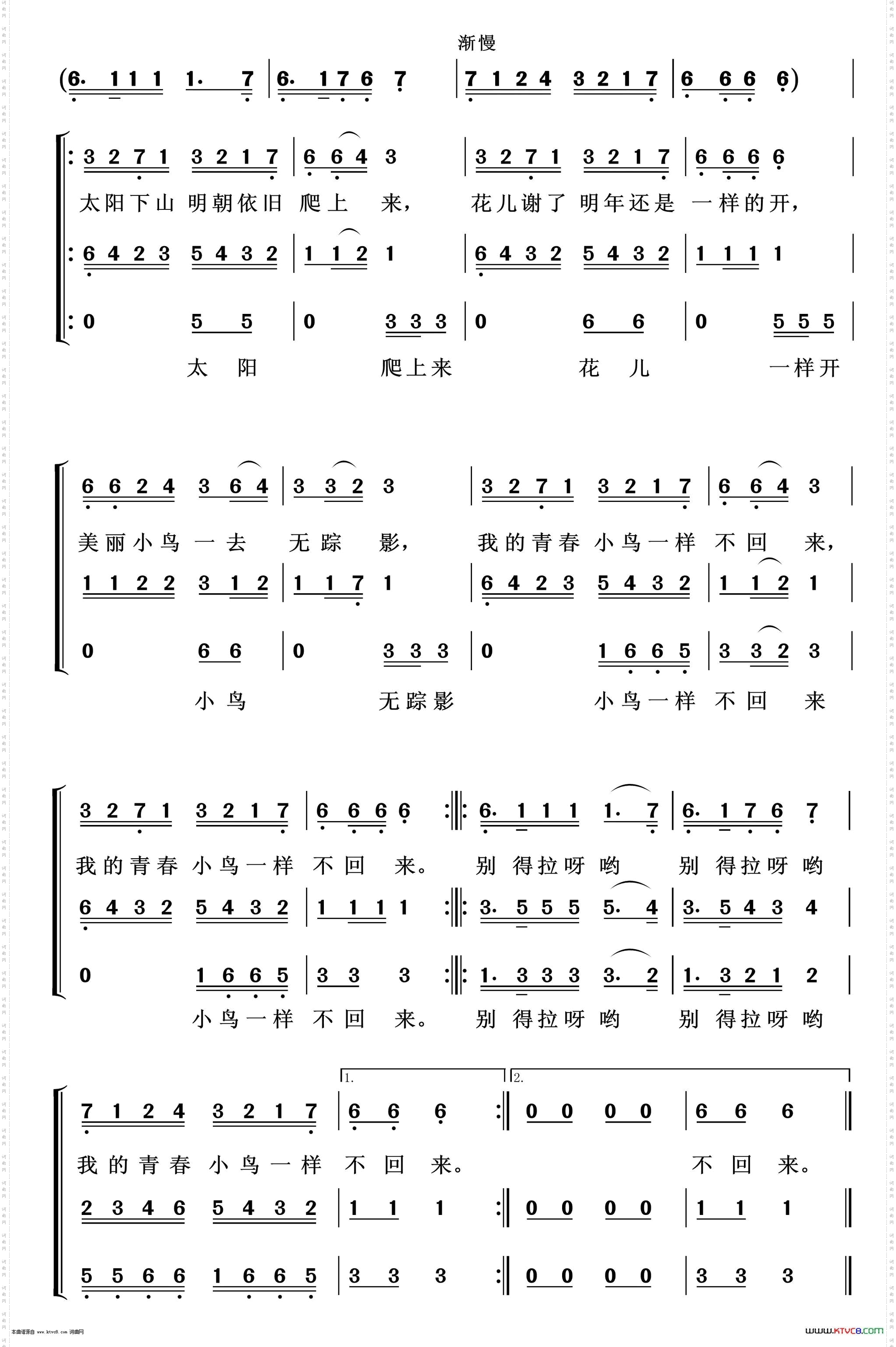 青春舞曲_重唱歌曲100首