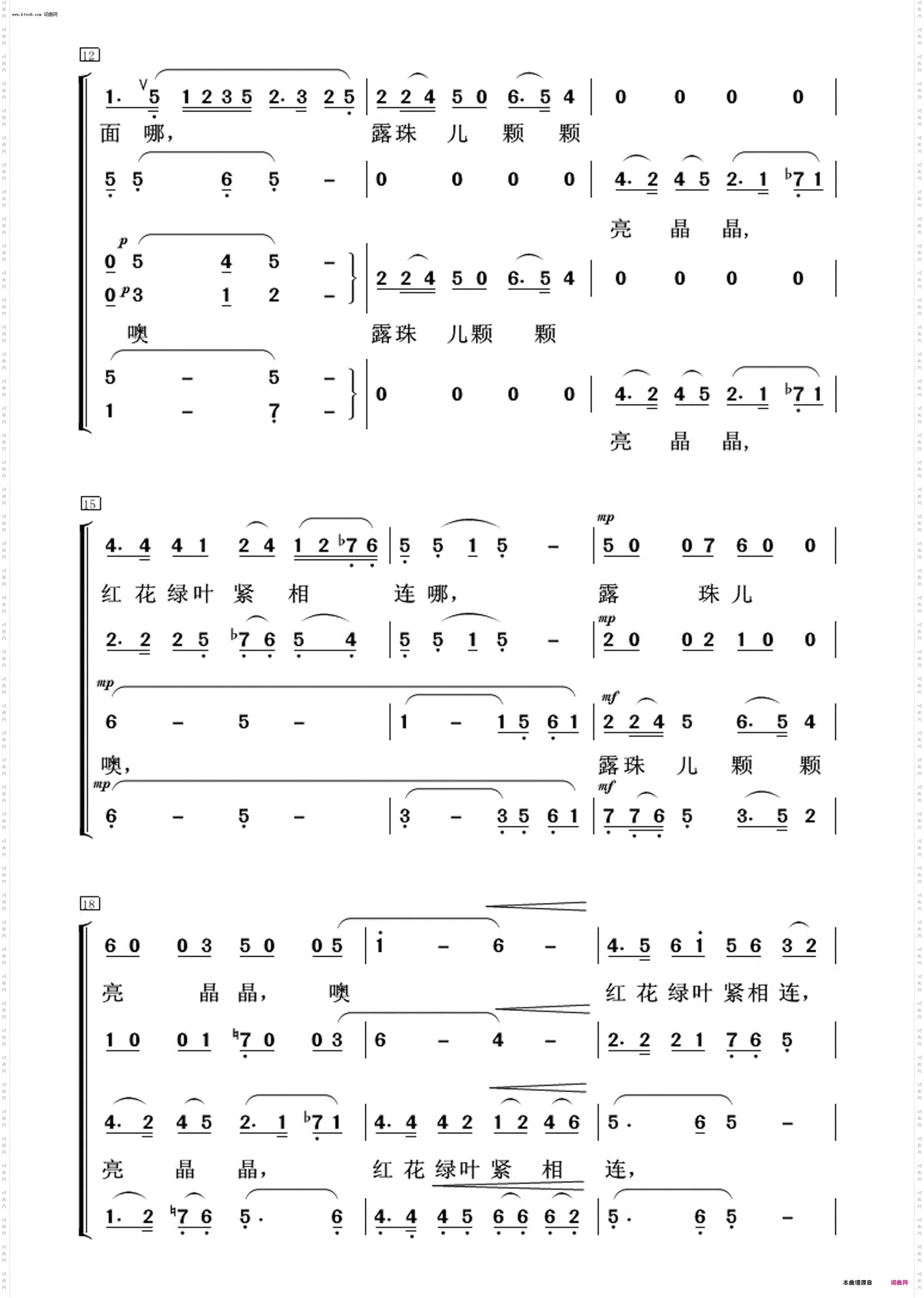 荷花颂_常青放歌