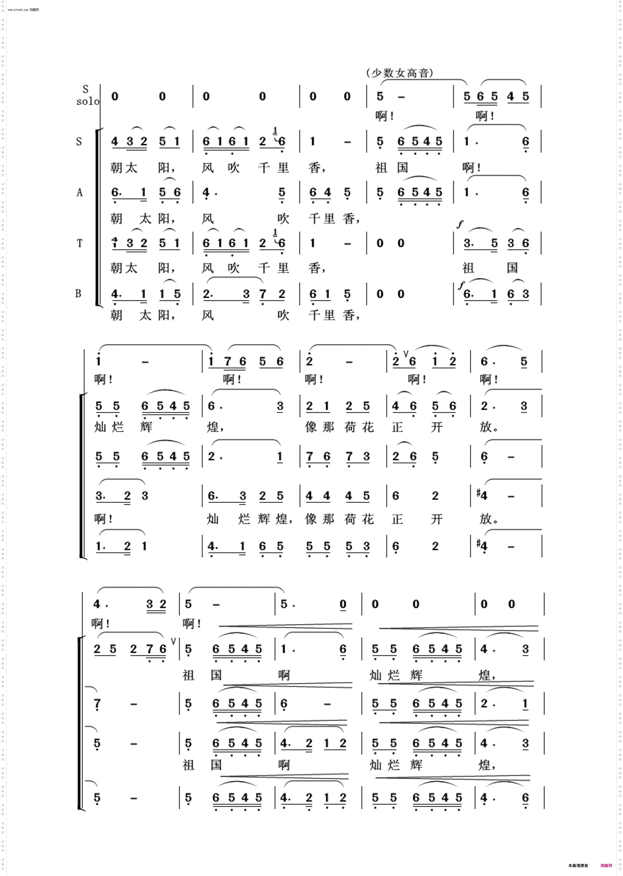 荷花颂_常青放歌