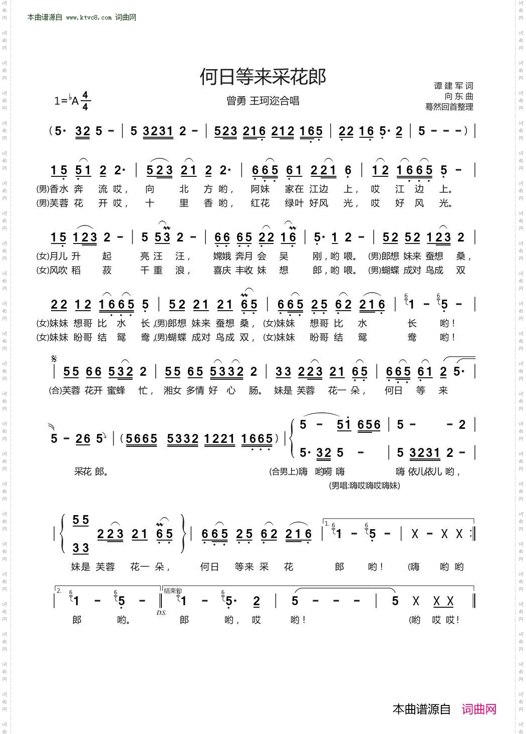 何日等来采花郎