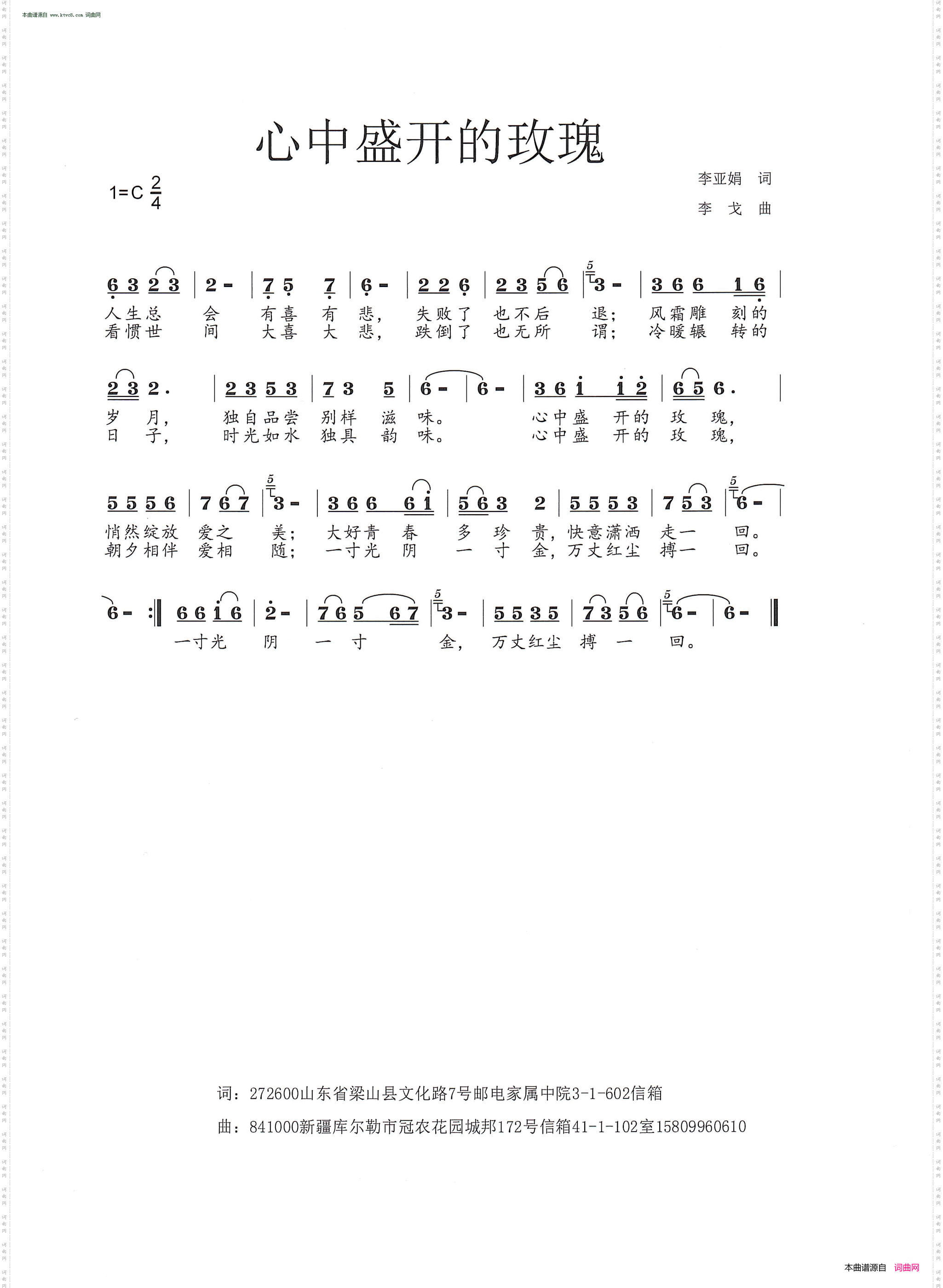 心中盛开的玫瑰
