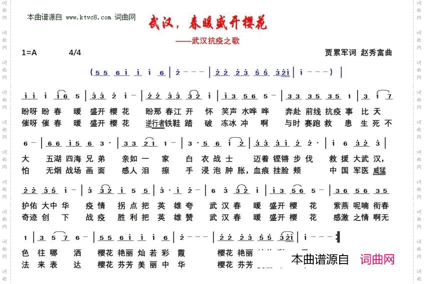 武汉，春暖盛开樱花