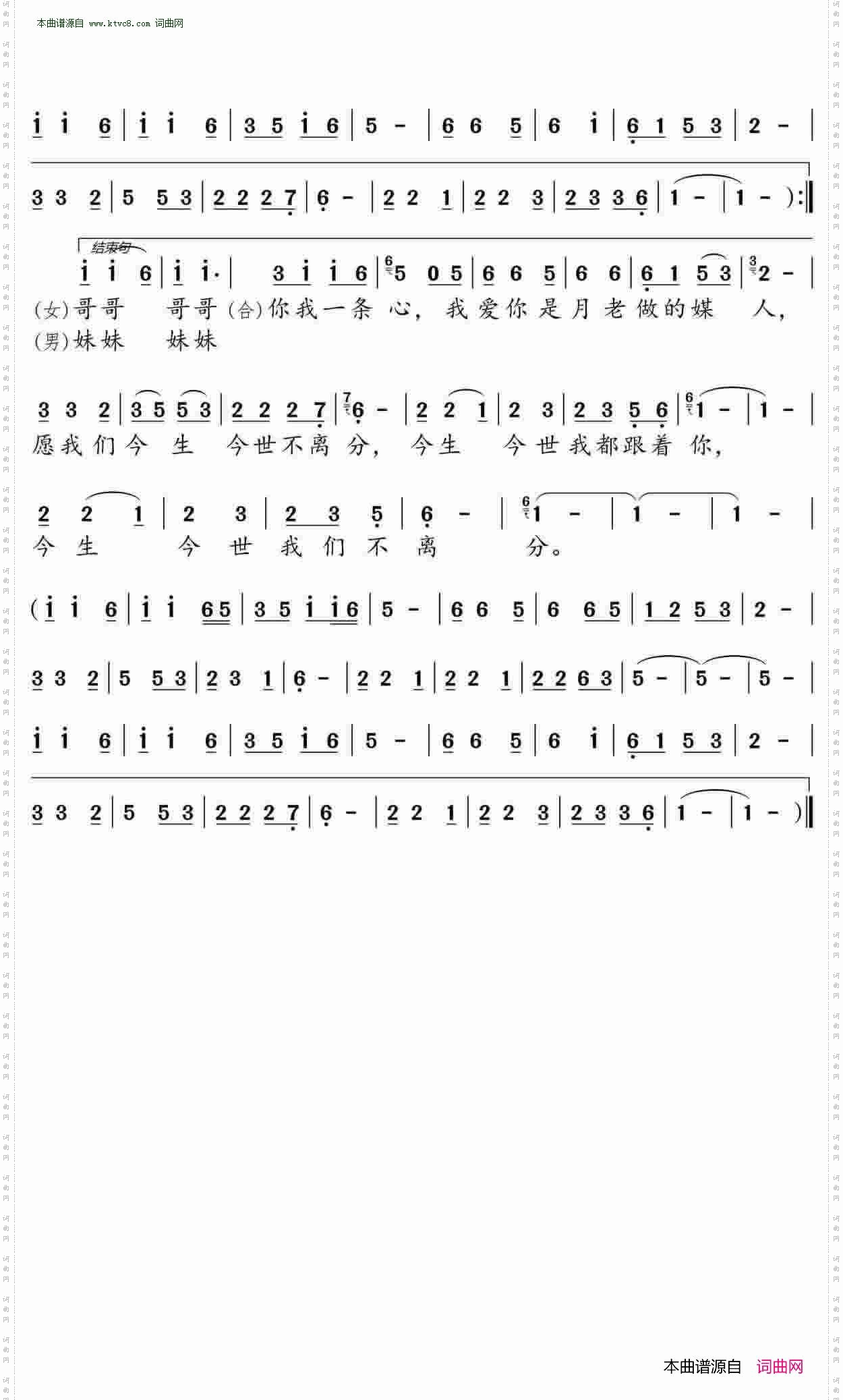 昨夜没有梦到你