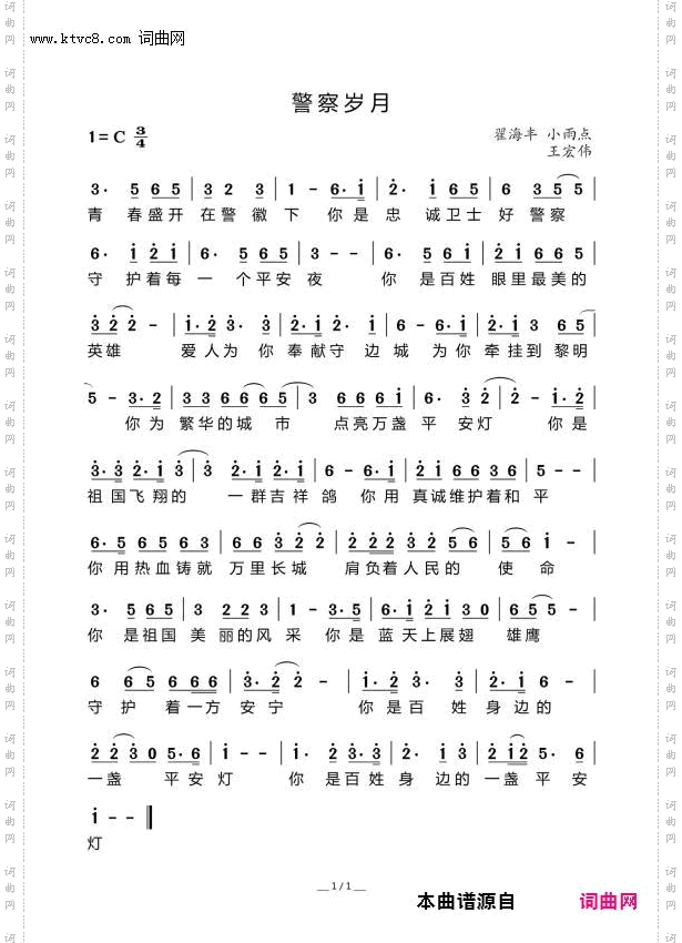 警察岁月