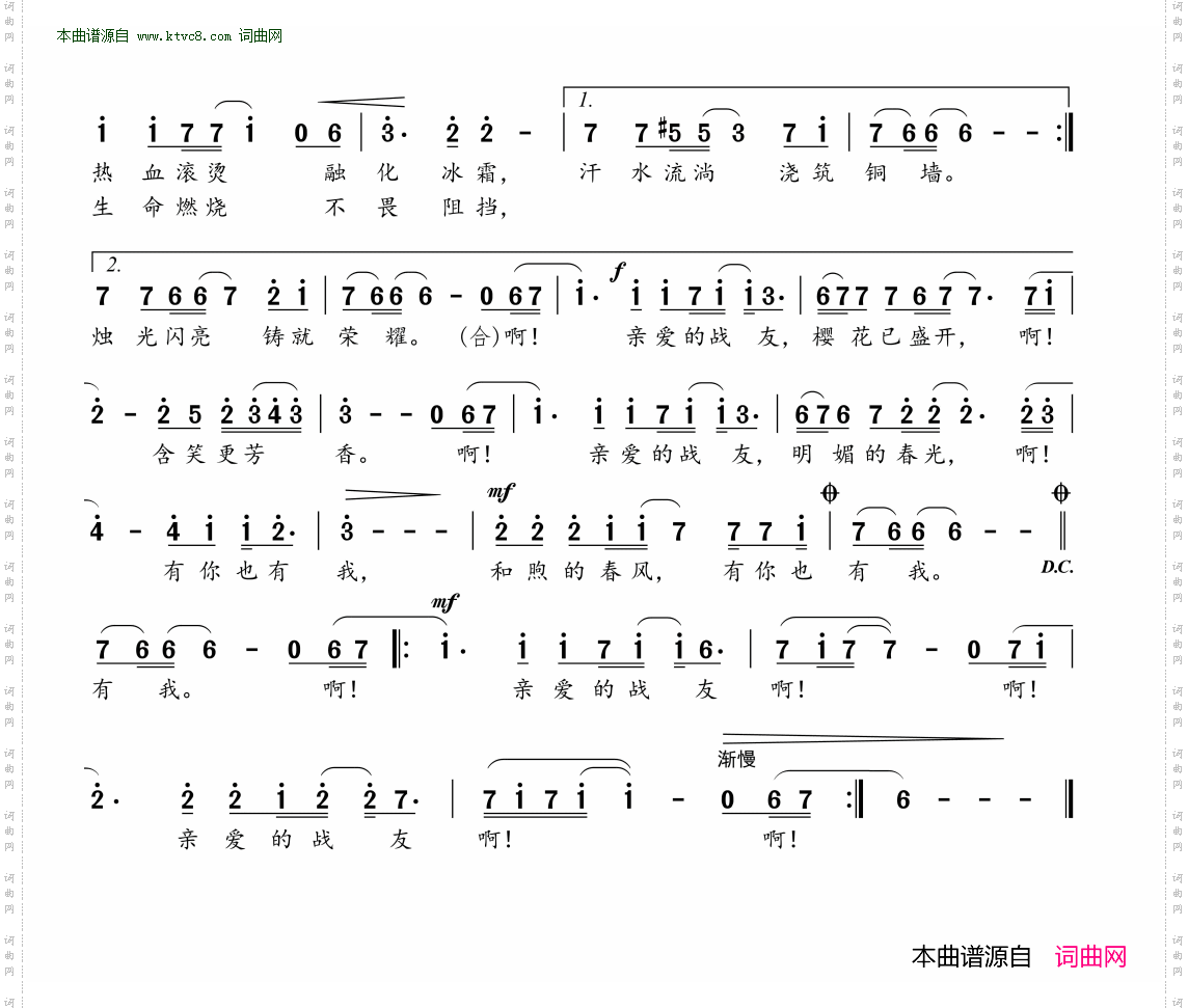 含笑春天