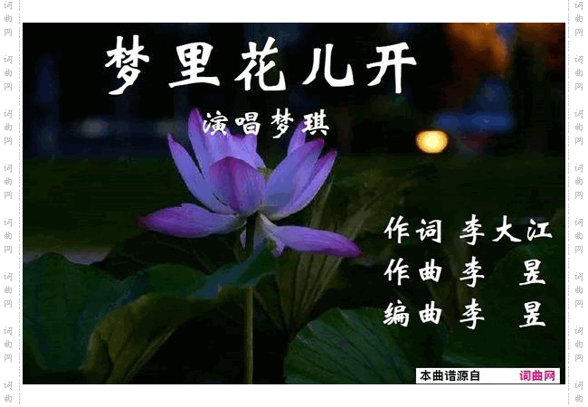 梦里花儿开_梦琪演唱