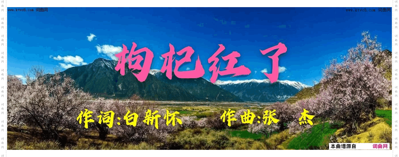 枸杞红了