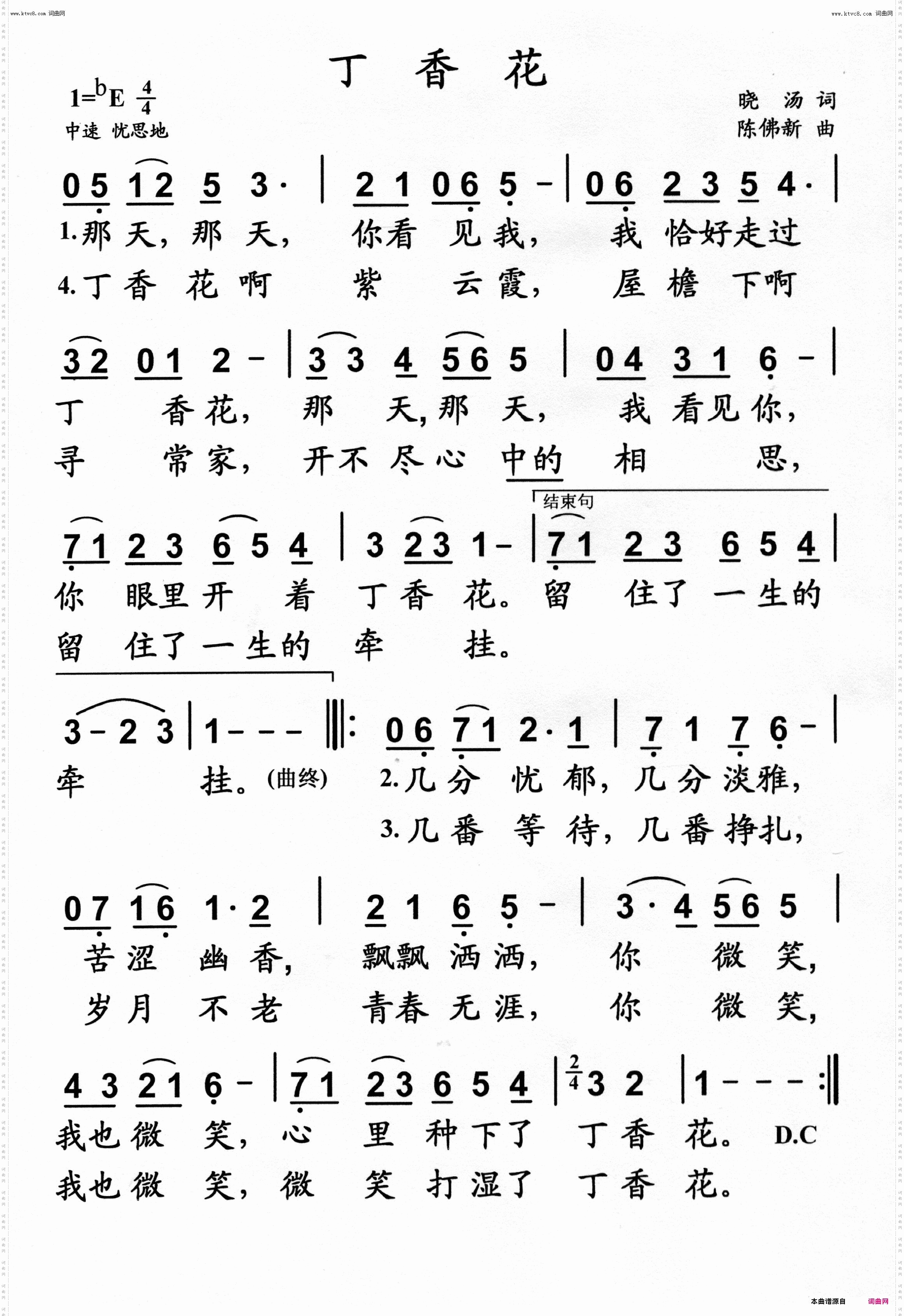 丁香花