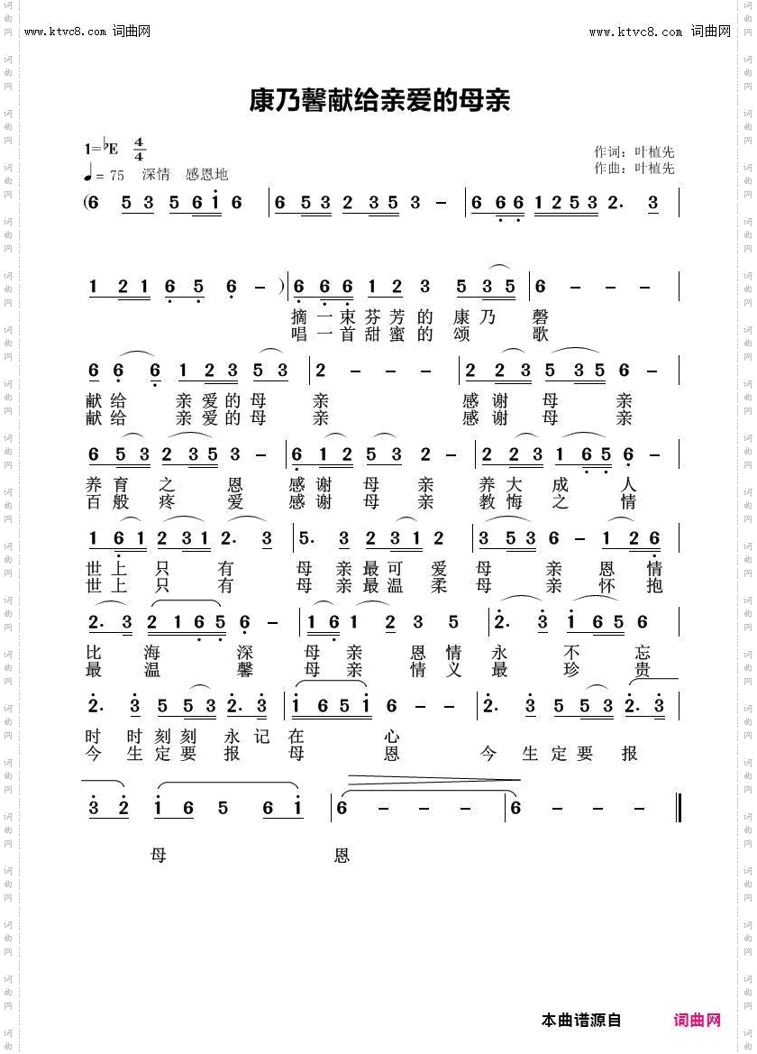 康乃磬献给亲爱的母亲