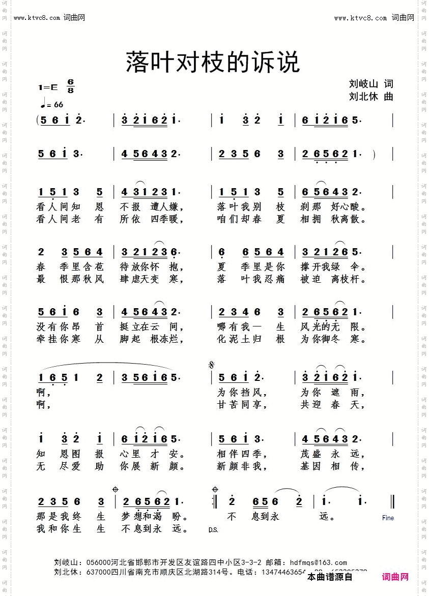 落叶对枝的诉说