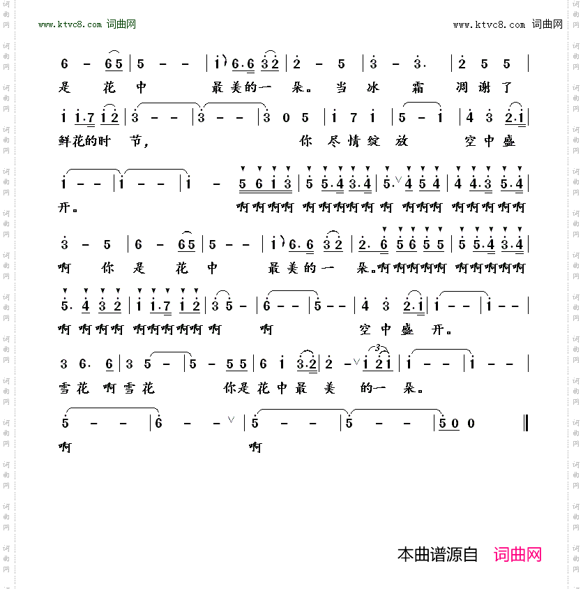 你是花中最美的一朵