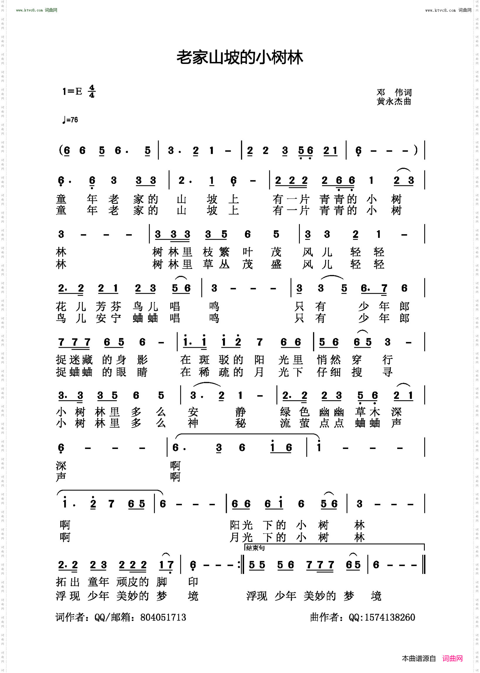 老家山坡的小树林