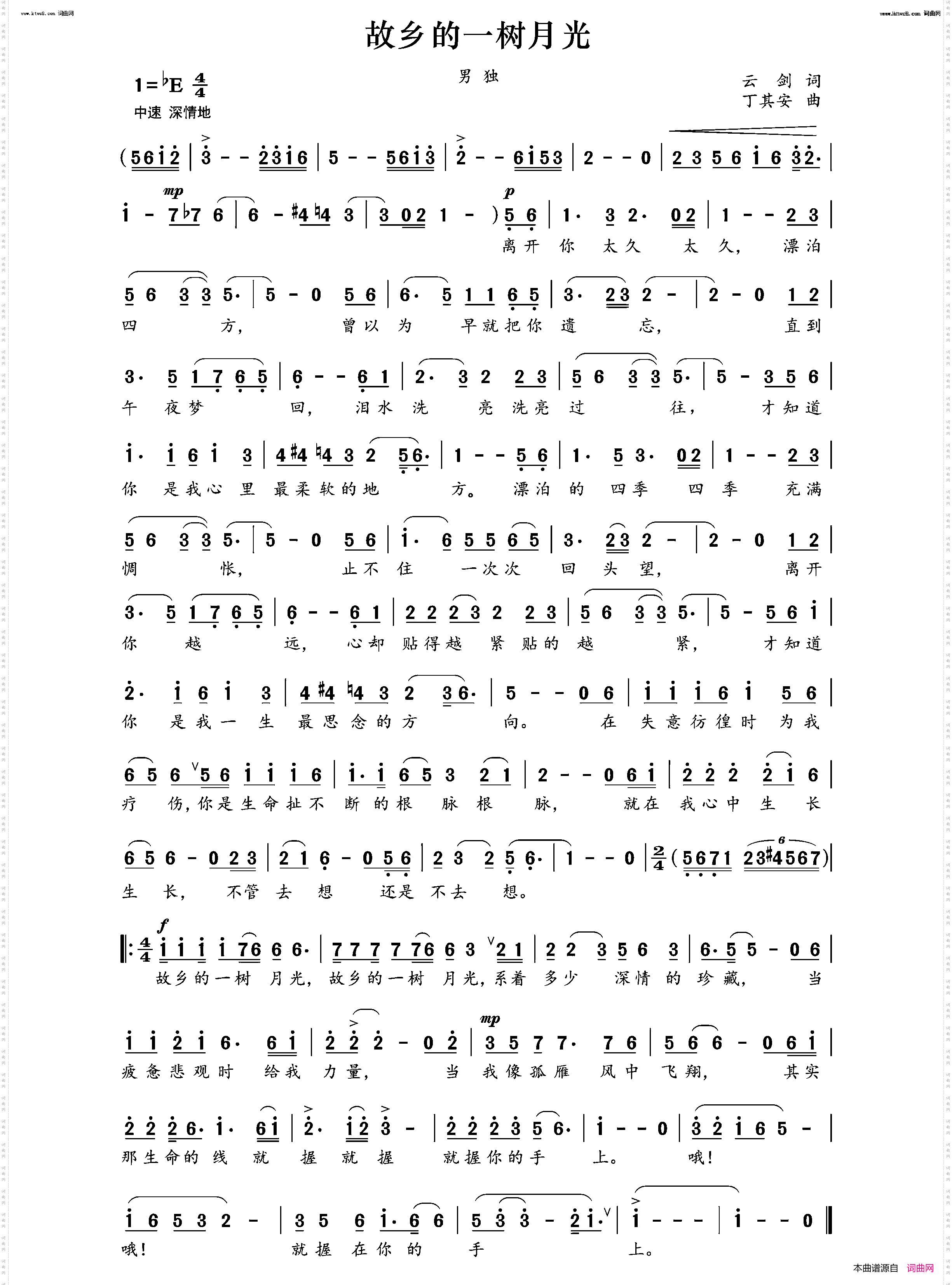 故乡的一树月光