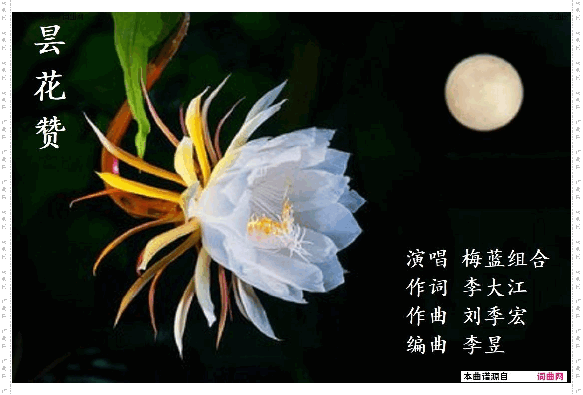 昙花赞_梅蓝组合唱 刘季宏曲 李昱编曲