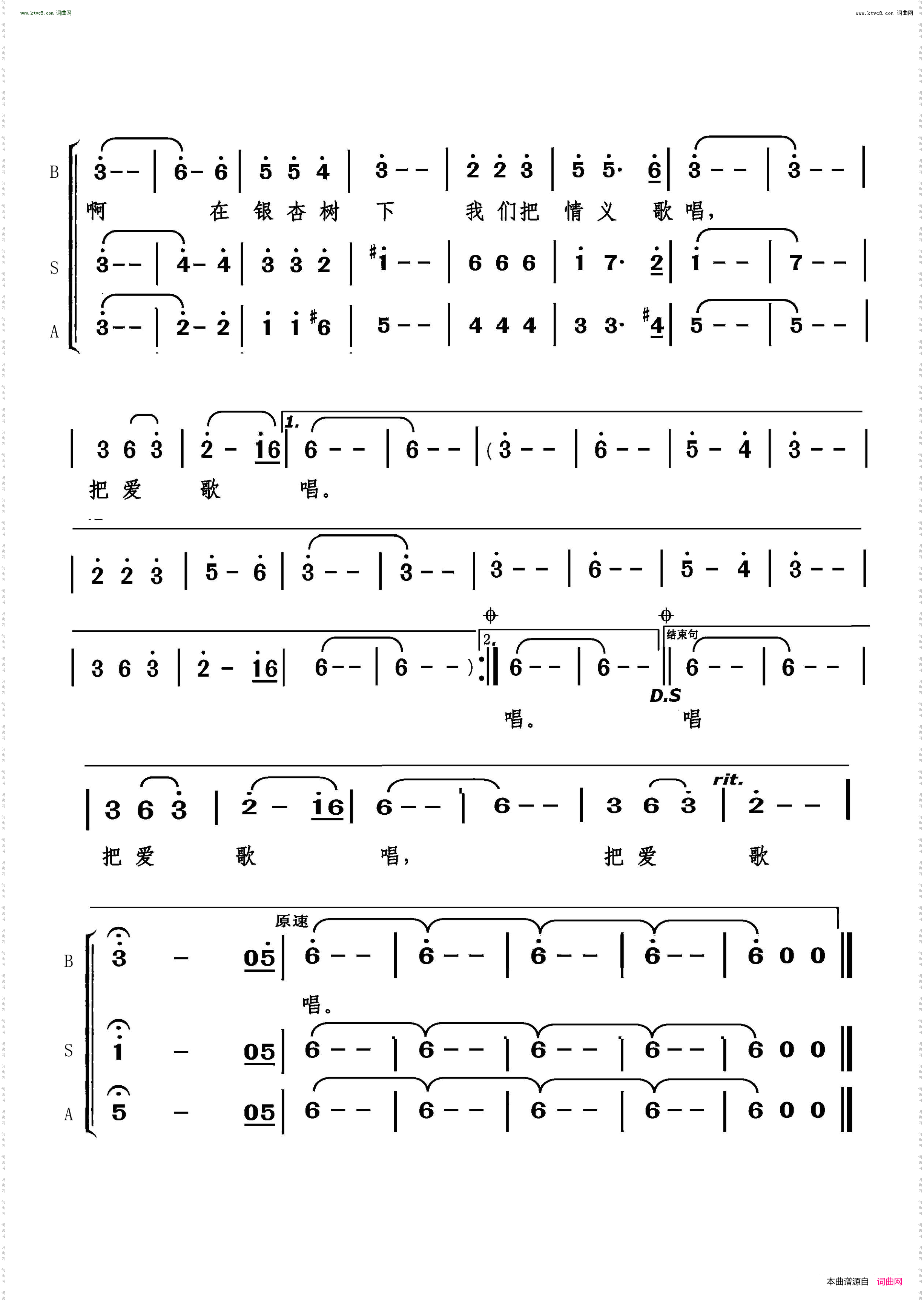 在银杏树下_混声合唱
