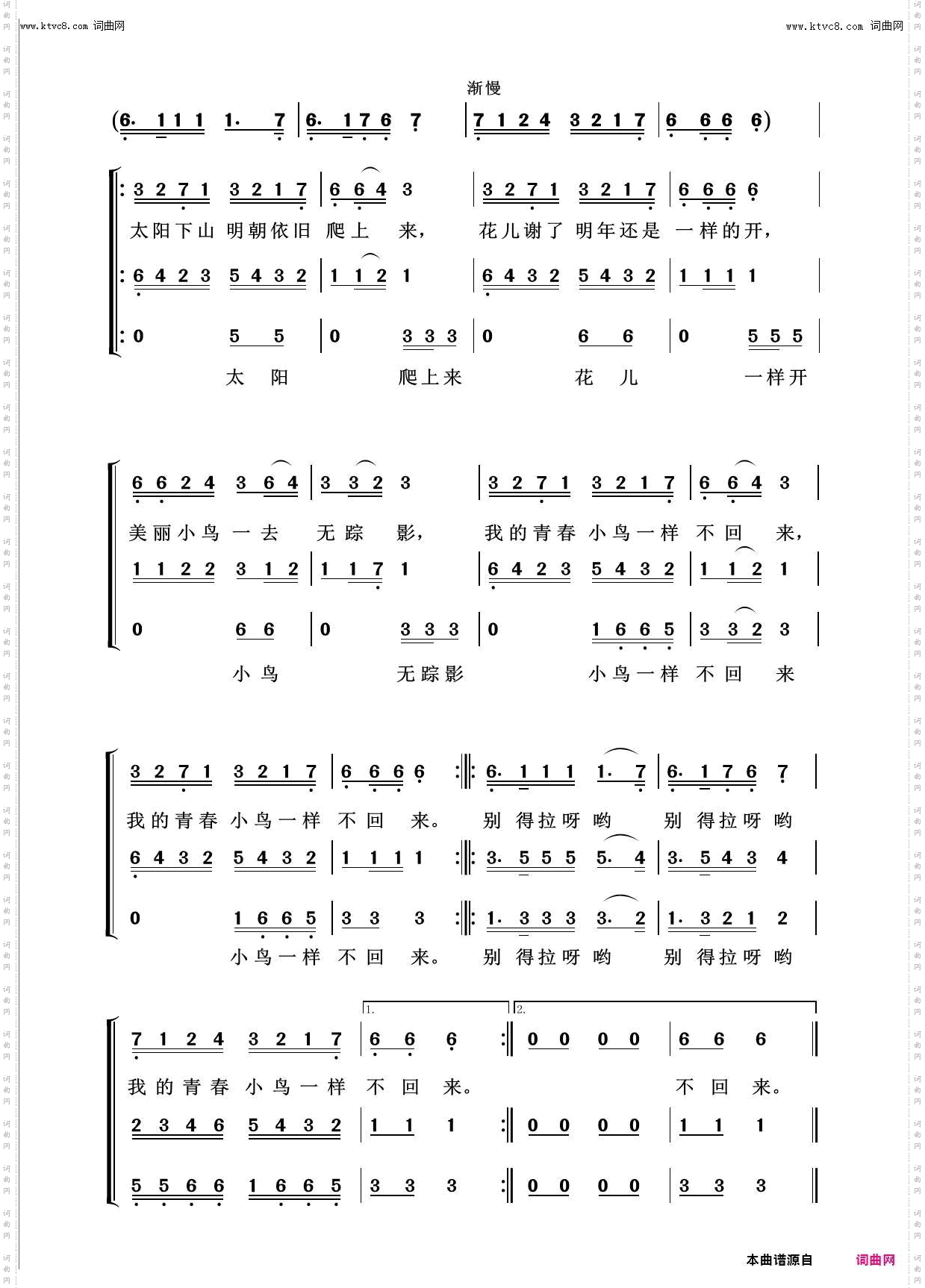 青春舞曲_回声嘹亮2013