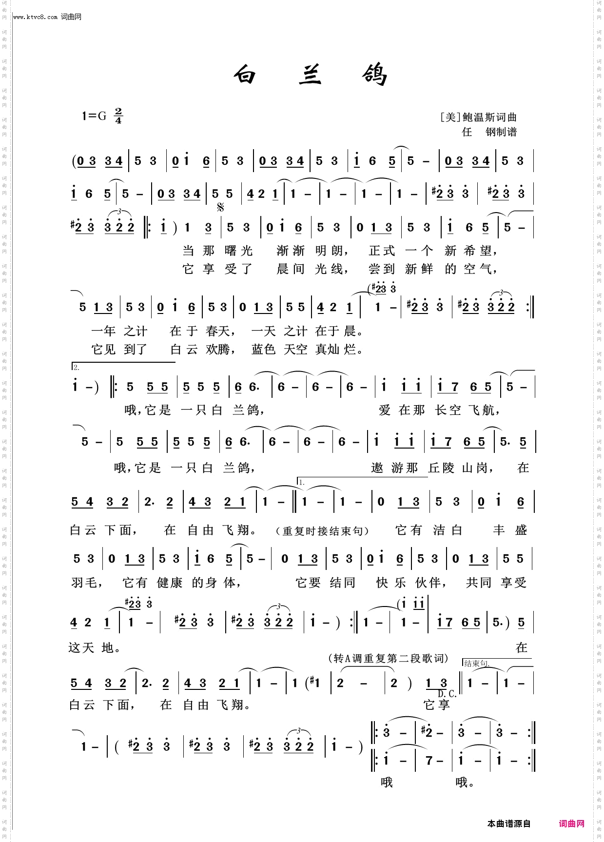 白兰鸽_回声嘹亮2015