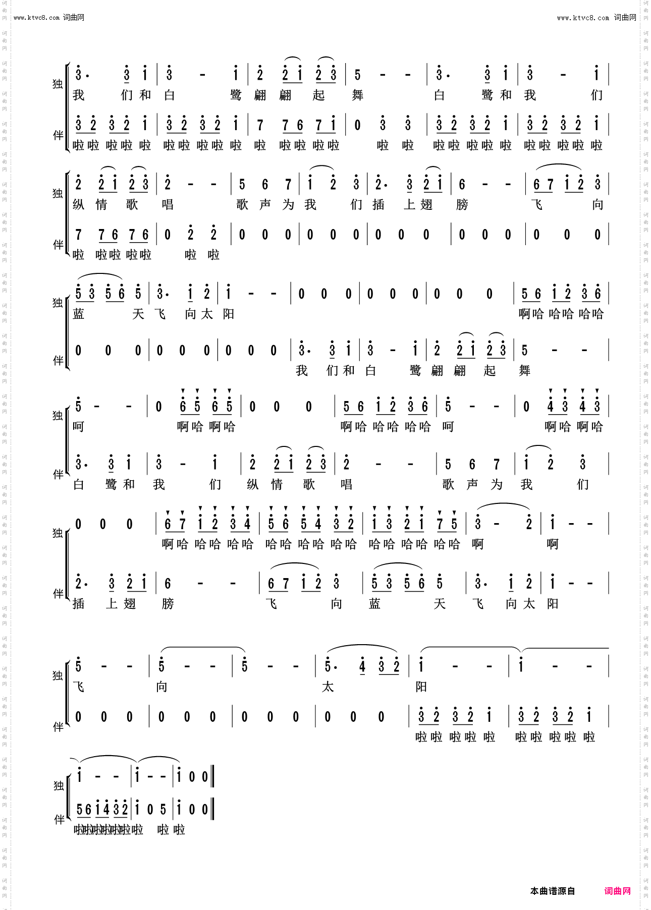 白鹭圆舞曲